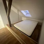 Zizkov Tower アパートホテル